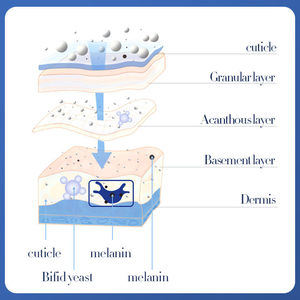 <span class=keywords><strong>Mascarilla</strong></span> Facial Hidratante y Blanqueadora Antienvejecimiento con Diclorobacterium, <span class=keywords><strong>Precio</strong></span> al por Mayor OEM - Product Image 4