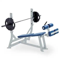 Offres Spéciales : Banc de Musculation Incliné Professionnel pour Salle de Sport