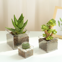 Mini vase carré transparent en plastique, centre de table, conteneur en acrylique, pot en vrac pour plantes succulentes, décoration florale pour mariage, maison, bureau