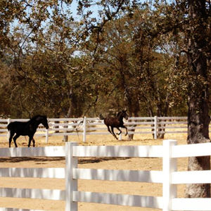 Cercado de PVC para <span class=keywords><strong>Caballos</strong></span> de Carreras, Recubrimiento de PVC para Caballerizas, Cercado de Plástico Negro para <span class=keywords><strong>Caballos</strong></span> - Product Image 5