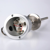 Sensor RTD PT100 Sanitario de Acero Inoxidable SS316 Personalizado OEM de Haichen, Clase IP65, Precisión A/B, Resolución 0.2
