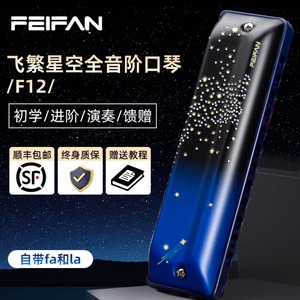 Armónica diatónica Feifan de 12 orificios F12 de escala completa con Fa y La para principiantes y jugadores avanzados - Product Image 1