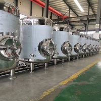Réservoir de bière automatique 500L Brite Réservoir de service Réservoir de stockage de bière à fossettes pour isoler le matériau en acier inoxydable