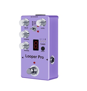 Looper Pro-melodico Loop Chorus Delay riverbero effetti di accordatura accessori per chitarra strumento - Product Image 3