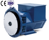 3KW 5KW 10KW 50KW ST/STC AC bürstenloser Generator