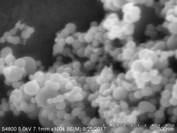 Poudre de fer nano 50 nm 99,9 % Poudre de fer nano de haute pureté