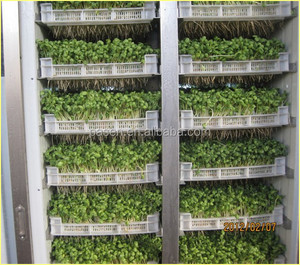 Sistemas <span class=keywords><strong>de</strong></span> cultivo hidropónico tipo contenedor, sistema <span class=keywords><strong>de</strong></span> brotación <span class=keywords><strong>de</strong></span> forraje verde para granja <span class=keywords><strong>de</strong></span> vacas - Product Image 2