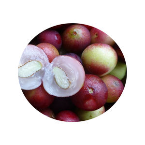 Grosir organik <span class=keywords><strong>Camu</strong></span> <span class=keywords><strong>Camu</strong></span> bubuk buah alami suplemen Vitamin C bubuk <span class=keywords><strong>Camu</strong></span> organik - Product Image 3