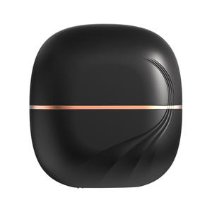 Nouveau mini lisseur de cheveux rechargeable, plaque en céramique portable, sans fil, pour tous types de cheveux, chauffe rapidement en 3-5 minutes - Product Image 1