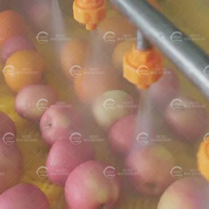 Cepillo de pulverización eléctrico Tipo de lavado Fresa <span class=keywords><strong>Sandía</strong></span> Cantalupo Tomate Lavadora de batata - Product Image 5