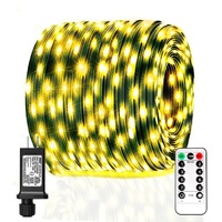 Nuevas Luces LED de Cadena para Decoración Navideña de Exterior, Impermeables IP65, de Bajo Voltaje, con Control Remoto, Decorativas para Jardín