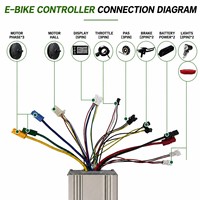 Kit de conversion de vélo électrique 48V 1000W pour pneus larges, avec moteur moyeu roue arrière, écran LCD, accélérateur à pouce et assistance au pédalage (PAS)