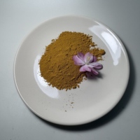 Oxyde de fer jaune 51274-00-1, pigment colorant pour béton, procure une coloration uniforme