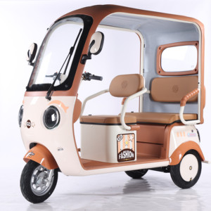 Tricycle électrique 650W 60V20AH Batterie au plomb-acide Pneu 300-10 Moteur sans balais 3 vitesses Frein hydraulique Moto à 3 roues - Product Image 1