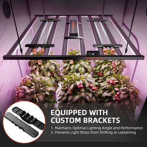ชุดไฟปลูกพืชแบบแท่ง LED รุ่นใหม่ล่าสุด <span class=keywords><strong>Spider</strong></span> <span class=keywords><strong>Farmer</strong></span> 365nm UV60 730nm IR30 เพิ่มผลผลิต ปรับปรุง UV IR ให้เข้มข้นขึ้น - Product Image 5