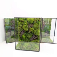 Terrarium en verre géométrique personnalisé avec mousse verte stabilisée, pot de terrarium, mousse préservée, conteneur pour plantes en verre