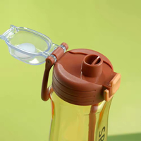 Bouteille d'eau de sport en plastique réutilisable écologique de 750 ml avec paille, anti-fuite, pour l'extérieur