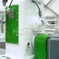 Machine à fabriquer des granulés de branches d'arbres RICHI - Fabricants de machines à granulés de bois recyclé personnalisées gratuitement