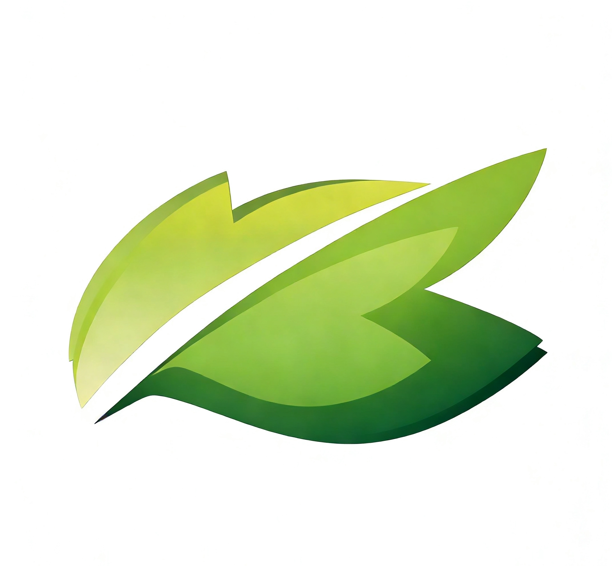 Fuzhou Baishanna Technology Co., Ltd. logo