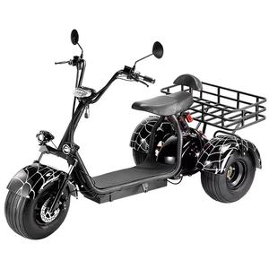 Città Coco Halley 3 ruote Scooter <span class=keywords><strong>elettrico</strong></span> con 1500w-2000w grasso pneumatico 2000w Pedicab bici con tre grandi ruote - Product Image 1