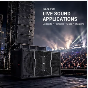 ซับวูฟเฟอร์คู่ขนาด 21 นิ้ว ระดับมืออาชีพ 4000w 16000w วอยซ์คอยล์ 150 มม. แบบ Passive 140db 8 โอห์ม สำหรับเวที สนามกีฬา คอนเสิร์ต รุ่น Ls-b221+ - Product Image 4