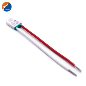 Aparatos de calefacción de alta calidad, suministro directo de fábrica, 1A, 2A, 3A, 5A, 10A, 15A, 20A, 25A, corte de <span class=keywords><strong>fusible</strong></span> térmico de cerámica para <span class=keywords><strong>plancha</strong></span> de vapor - Product Image 5