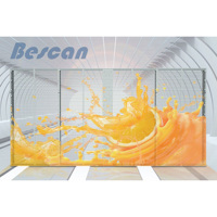 Écran d'affichage en verre LED transparent Bescan, panneau extérieur IP65 pour ascenseur, signalisation, éducation - Mur vidéo transparent