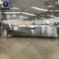 Kls Vers Voedsel En Plantaardige Verwerking Stoom Blancheren Frietjes Chips Blancheermachine