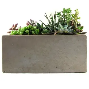 Succulent Rectangular Indoor Planter Pots Minimalist 7 Days Outdoor Planter with Seat Potblack Shopping Malls Carton,paper Box