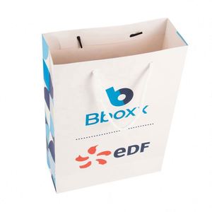 Custom Fashion Eco-friendly Handbag Promotional <b>Gift</b> Paper Shopping Bag - Product Image 1