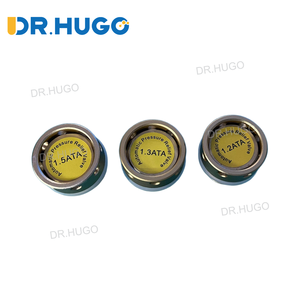 Válvula de Descompresión Automática DR HUGO, Válvula de Liberación de Presión para Cámara HBOT, Piezas de Repuesto - Product Image 1