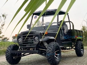 Mini Jeep Utility Vehicle New Buggy Cars All Terrain 2 Seats Truck for Sale Gasoline Adults Special Transportation - Product Image 4