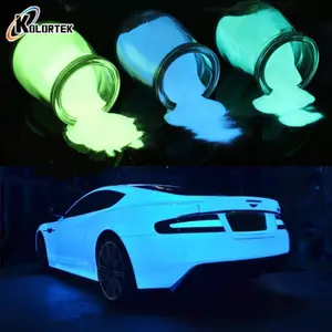 Glow In The Dark Car Paint Pigment Night Glow Phosphor Pigment Powder for Car Paint Epoxy Floors