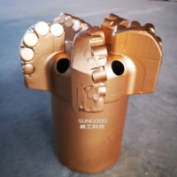 Usine 7 pouces 177mm 5 lames Arc PDC Bits 1613 PDC Cutters