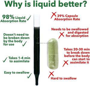 도매 판매 면역 지원 Splina 민트 유기농 비건 구강 액체 엽록소 해독 및 항산화 제 방울 - Product Image 6