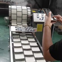 Machine automatique de fabrication de feuilles d'emballage pour samosas et rouleaux de printemps, en acier inoxydable de qualité alimentaire, 60 pièces/min, moteur automatique