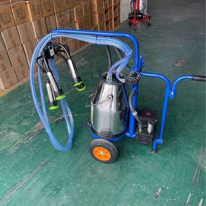 Machine à traire les vaches et les moutons à haute productivité, neuve ou d'occasion, avec pompe à vide automatique et pompe à moteur haute performance, pour fermes laitières - Product Image 3