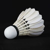 Volants de badminton en plumes de canard, vitesse 74-79, volants d'entraînement durables avec liège souple, pack économique en gros pour clubs et matchs – Direct Usine
