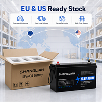 Batterie au lithium LiFePO4 12,8 V 300 Ah 3840 Wh certifiée CE RoHS, stock UE disponible, cycle profond, BMS intelligent, stockage solaire domestique