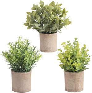 <span class=keywords><strong>Mini</strong></span> <span class=keywords><strong>Eucalyptus</strong></span> Artificiel <span class=keywords><strong>en</strong></span> <span class=keywords><strong>Pot</strong></span> Lot de 3 Plantes Vertes Artificielles <span class=keywords><strong>en</strong></span> Plastique avec <span class=keywords><strong>Pot</strong></span> pour la Maison - Product Image 1