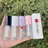 Tubes vides de baguette de brillant à lèvres d'emballage de brillant à lèvres de grande baguette blanche rose de 6ml avec la grande brosse