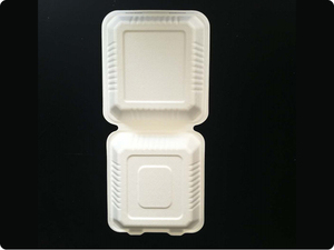 持ち帰り用餃子弁当箱、生分解性サトウキビバガスパルプ製硬質正方形フルーツケーキホットドッグバーガーボックス、使い捨てボックス - Product Image 3