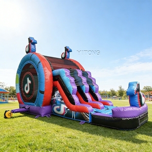 Castillo Inflable Comercial, Casa de Brinco Inflable, Brincolín Inflable para Niños - Product Image 1