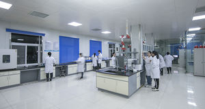 Lebensmittelqualität Maisglutenmehl Natürliche Proteinquelle Nährstoffverstärker für Tierfutter - Product Image 6