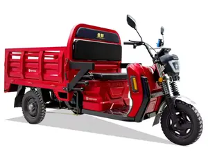 Low-carbon Emission Electric Motorcycle 3 Wheel Cargo Tricycle