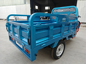 รถสามล้อบรรทุกขนาดใหญ่ ดีไซน์เปิดโล่ง ทันสมัย ได้รับการรับรองมาตรฐาน EEC 60V 2 ที่นั่ง 1000W รับน้ำหนักได้ 400 กก. - Product Image 3