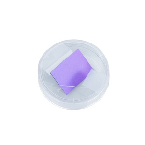 Monolayer/Singolo Strato di Grafene su Substrato SiO2/Si con Spessore SiO2 di 300nm - Product Image 3