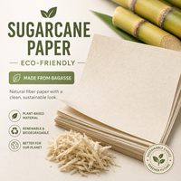 Papier et carton personnalisés en bagasse de qualité alimentaire, feuilles de cuisson pour gâteaux et barbecue, revêtement de cuisson recyclable, emballage en papier sulfurisé FSC