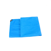 Bâche en polyéthylène imperméable camouflage 160 GSM 16 x 20 pieds pour séchage de céréales, tissu d'extérieur