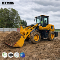 Chargeuse sur pneus compacte 1T 4x4 4WD Diesel Hydraulique, machine de construction